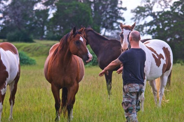 Ranch Pictures Cleghorn 15
